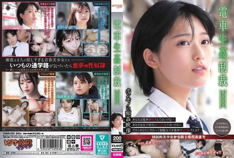 YDNS-003 火车性惩罚 #003